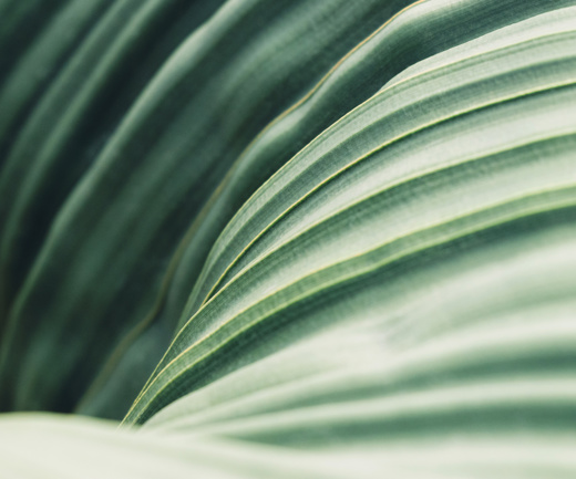 Adobestock 239727109