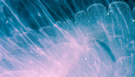Adobestock 315038860 Sm